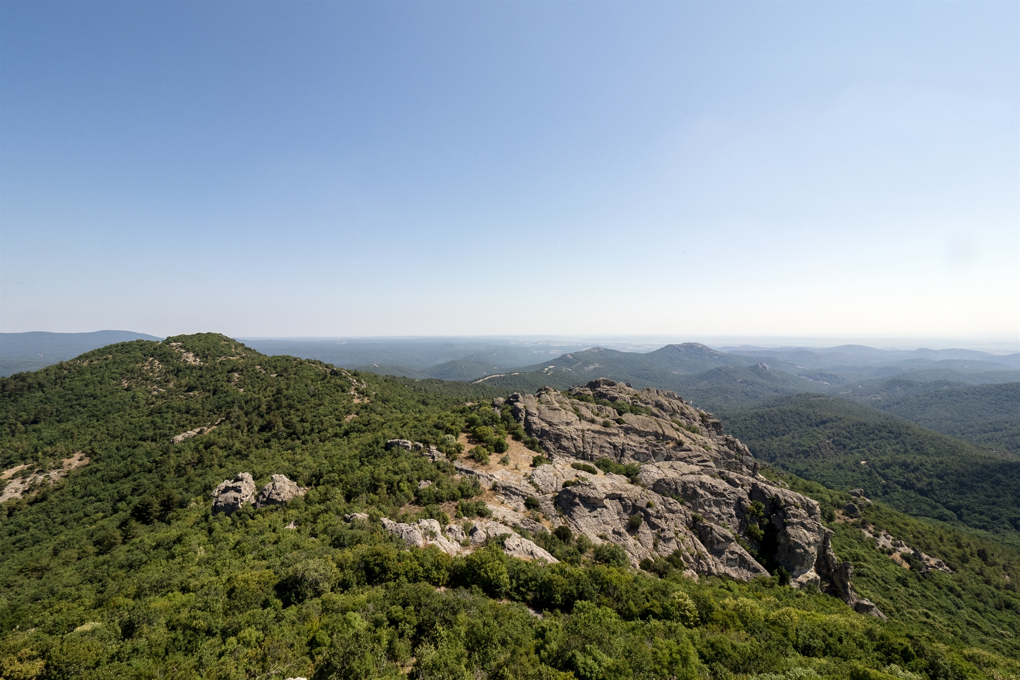 Οδοιπορικό στo πληγωμένo δάσος της Δαδιάς – Πώς σώθηκε ο πυρήνας του-11
