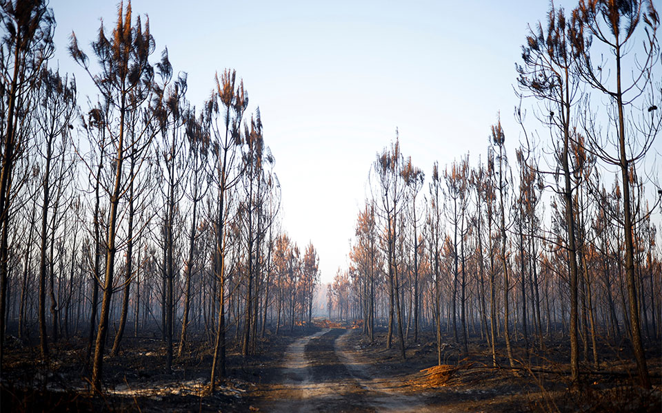 Γαλλία: Μάχη για την κατάσβεση πυρκαγιάς «τέρατος» κοντά στο Μπορντό-2