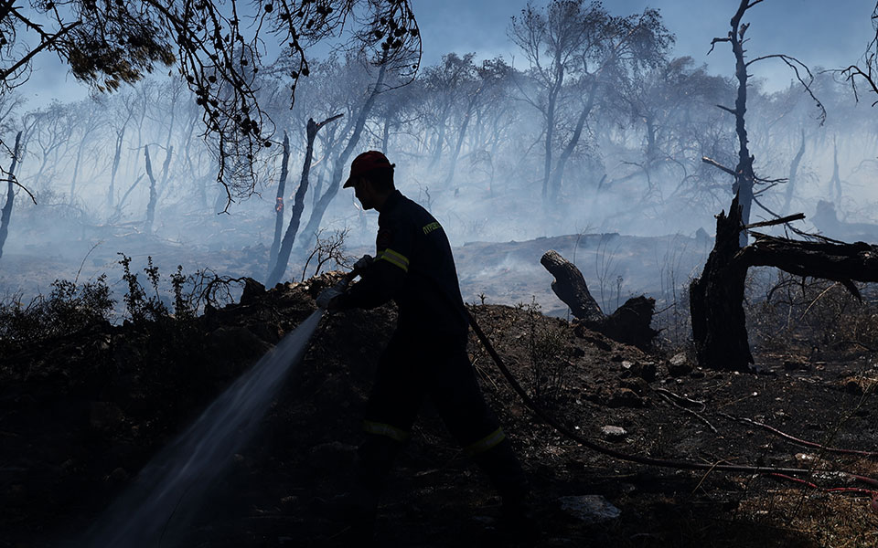 φωτιά-στη-θάσο-την-παρασκευή-η-απολογί-562002316