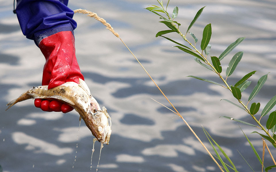 πολωνία-τους-100-τόνους-φτάνουν-τα-νεκρά-562001101