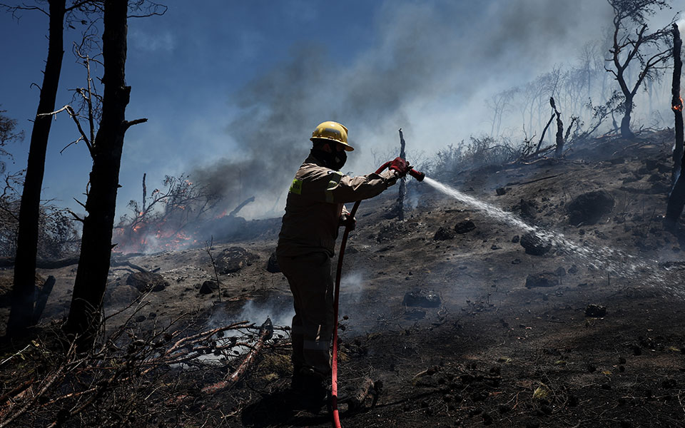 υπό-μερικό-έλεγχο-η-φωτιά-στην-αράχωβα-561993058