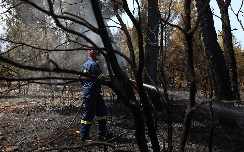 φωτιές-39-δασικές-πυρκαγιές-εκδηλώθηκα-562003825