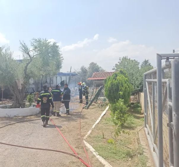 Φωτιά σε σπίτι στον Ωρωπό – Εντοπίστηκε νεκρή γυναίκα-3