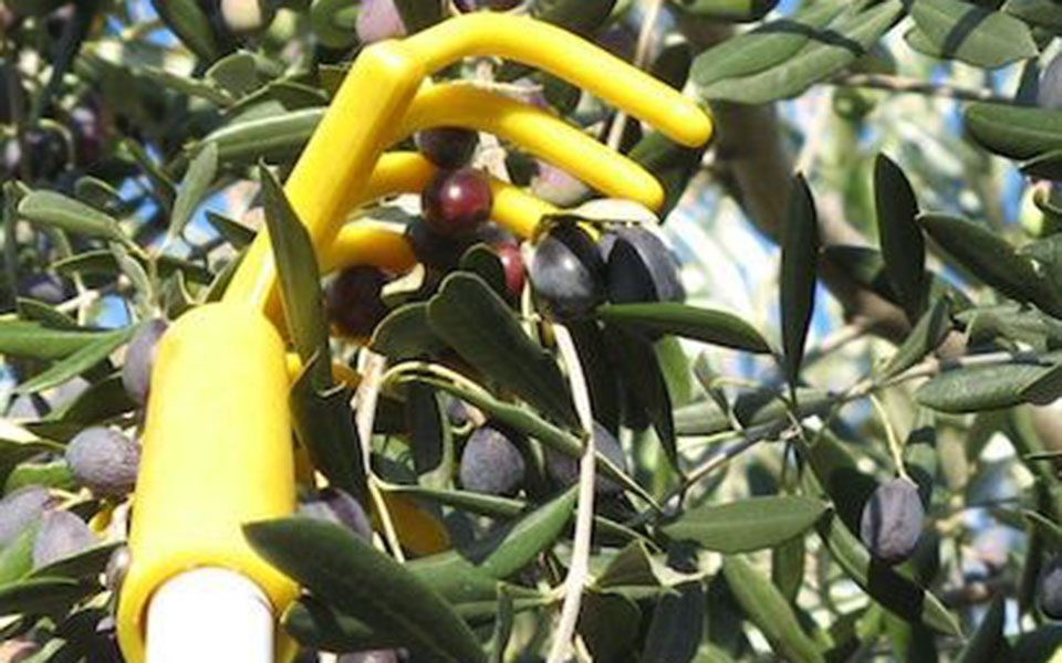 θύματα-της-κλιματικής-αλλαγής-το-ιταλ-561986512