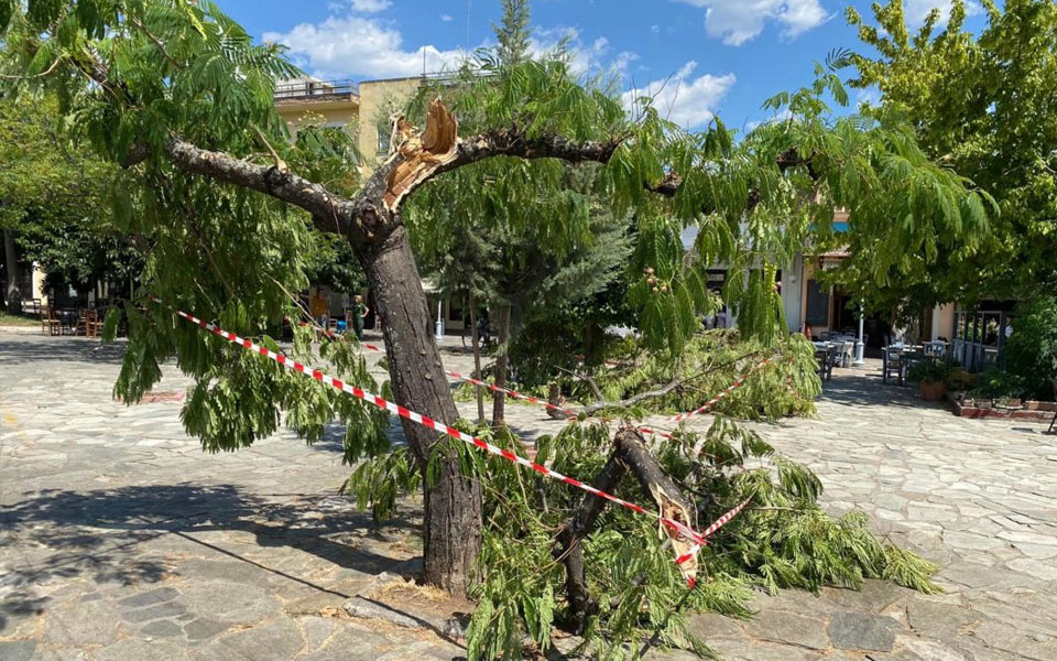 καλαμάτα-ζημιές-στην-πλατεία-όθωνος-α-561995029