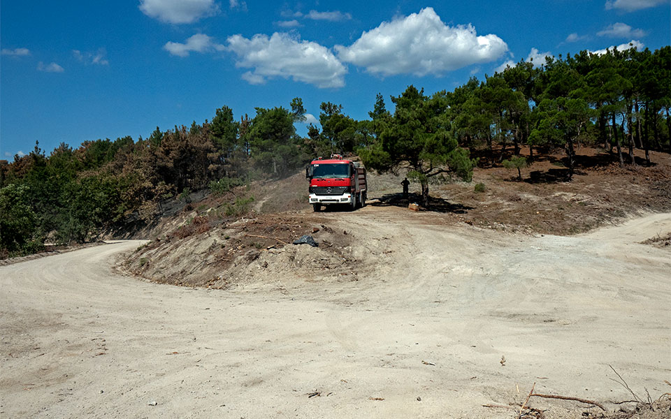 Οδοιπορικό στo πληγωμένo δάσος της Δαδιάς – Πώς σώθηκε ο πυρήνας του-7