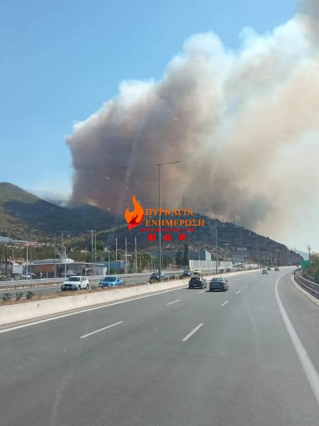 Φωτιά στη Νέα Πέραμο – Ισχυρές δυνάμεις της Πυροσβεστικής στο σημείο-2