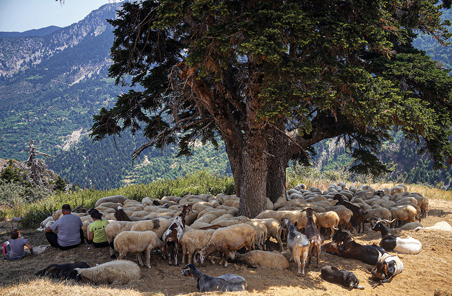 Καλοκαίρι ’22: Τα ποστ των διακοπών μας-4