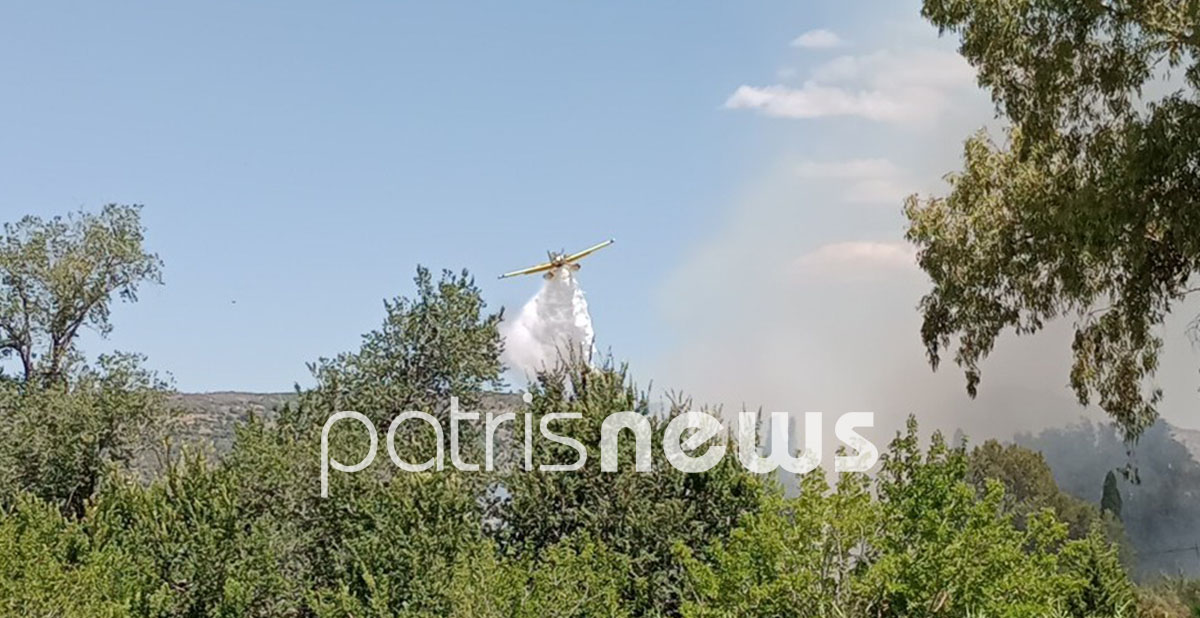 Φωτιά τώρα στον Πύργο (εικόνες)-2