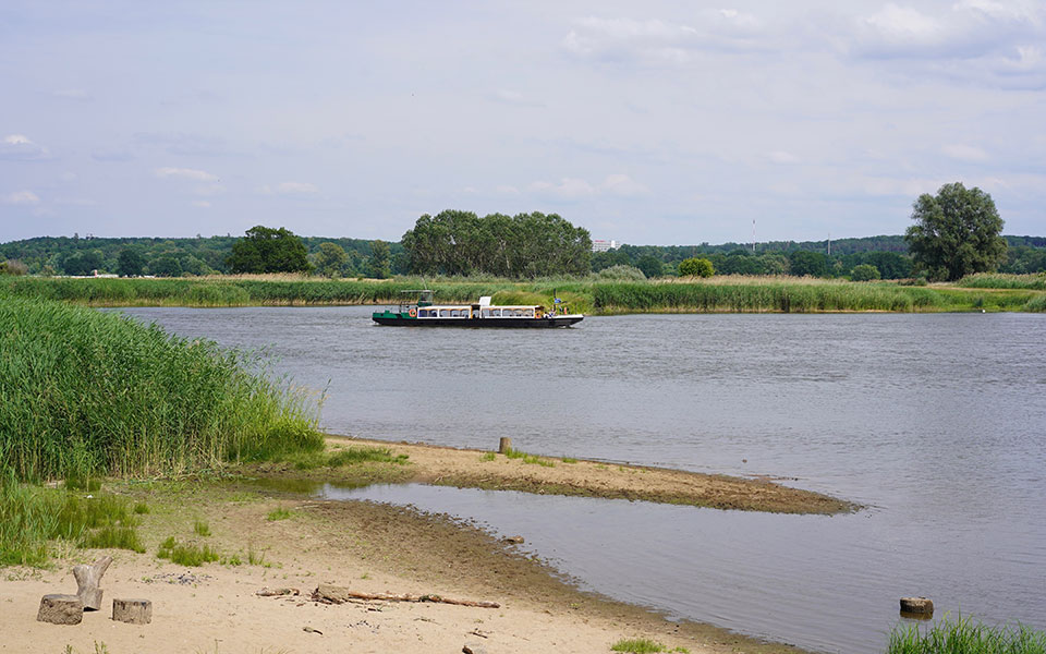 νεκρά-ψάρια-παντού-φόβοι-για-περιβα-561999412