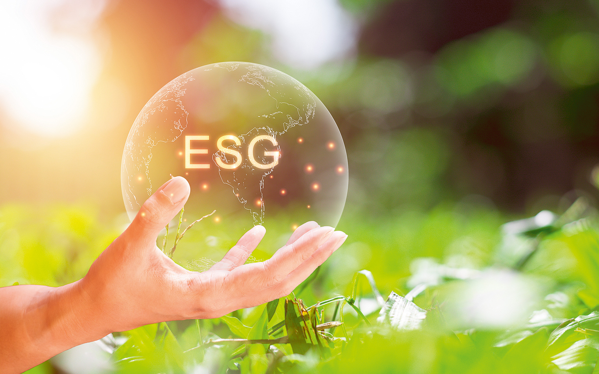 η-διαφάνεια-και-η-ενημέρωση-αναπόσπασ-561985039