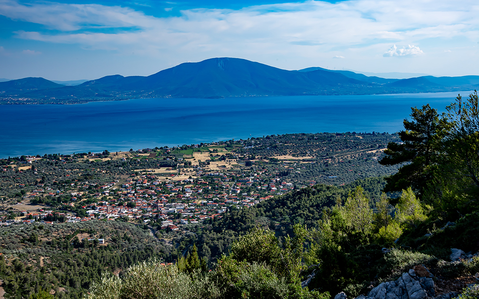 πού-κολλάνε-οι-δασικοί-χάρτες-562017286