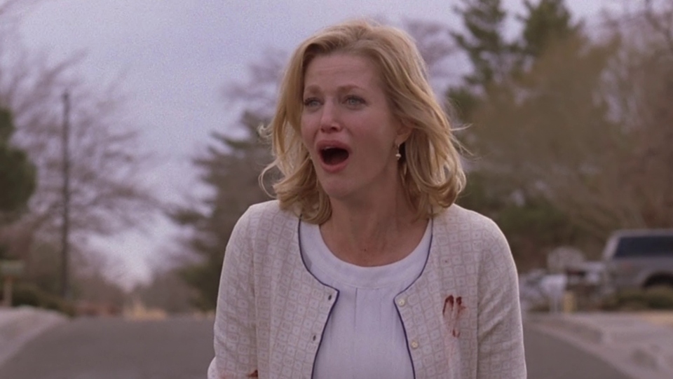 breaking-bad-γιατί-όλοι-μισούσαν-την-σκάιλερ-γ-562012699