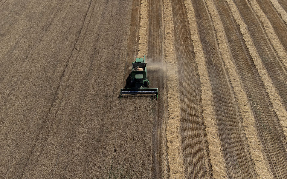 ρωσία-σε-επίπεδα-ρεκόρ-η-συγκομιδή-σιτ-561982507