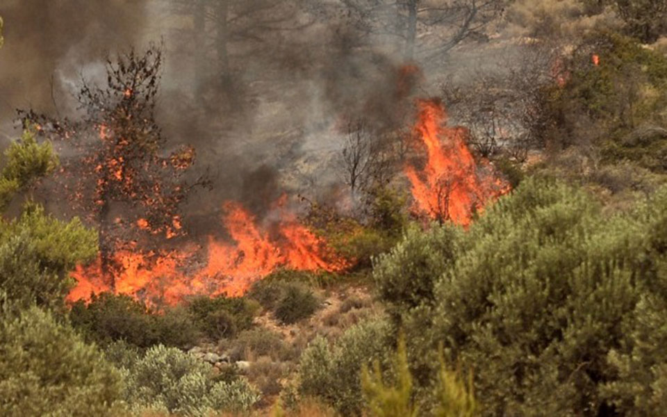 ηράκλειο-σε-ύφεση-η-πυρκαγιά-στον-δήμο-561999577