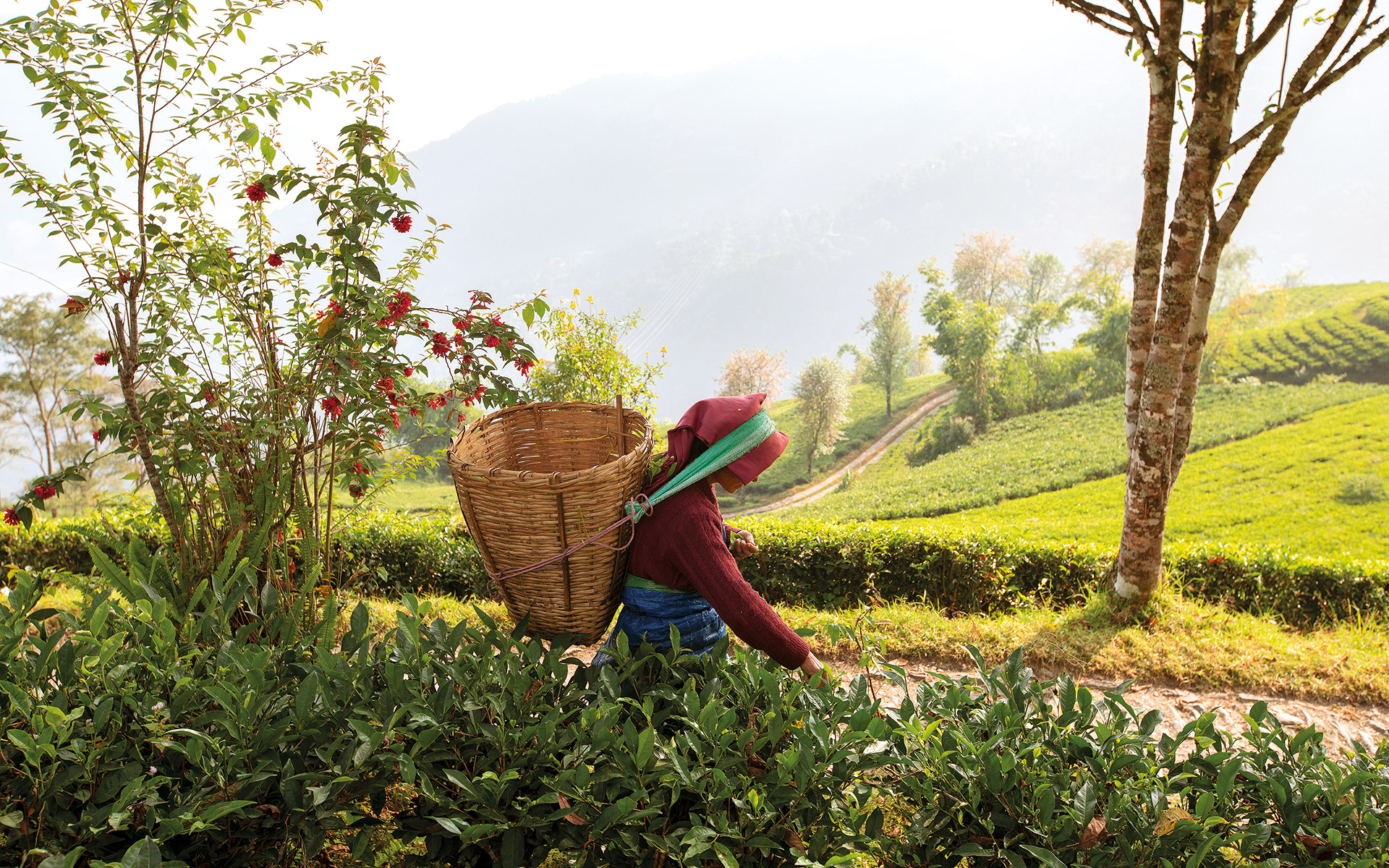 αποστολή-στην-πρώτη-πλήρως-βιολογική-562054603
