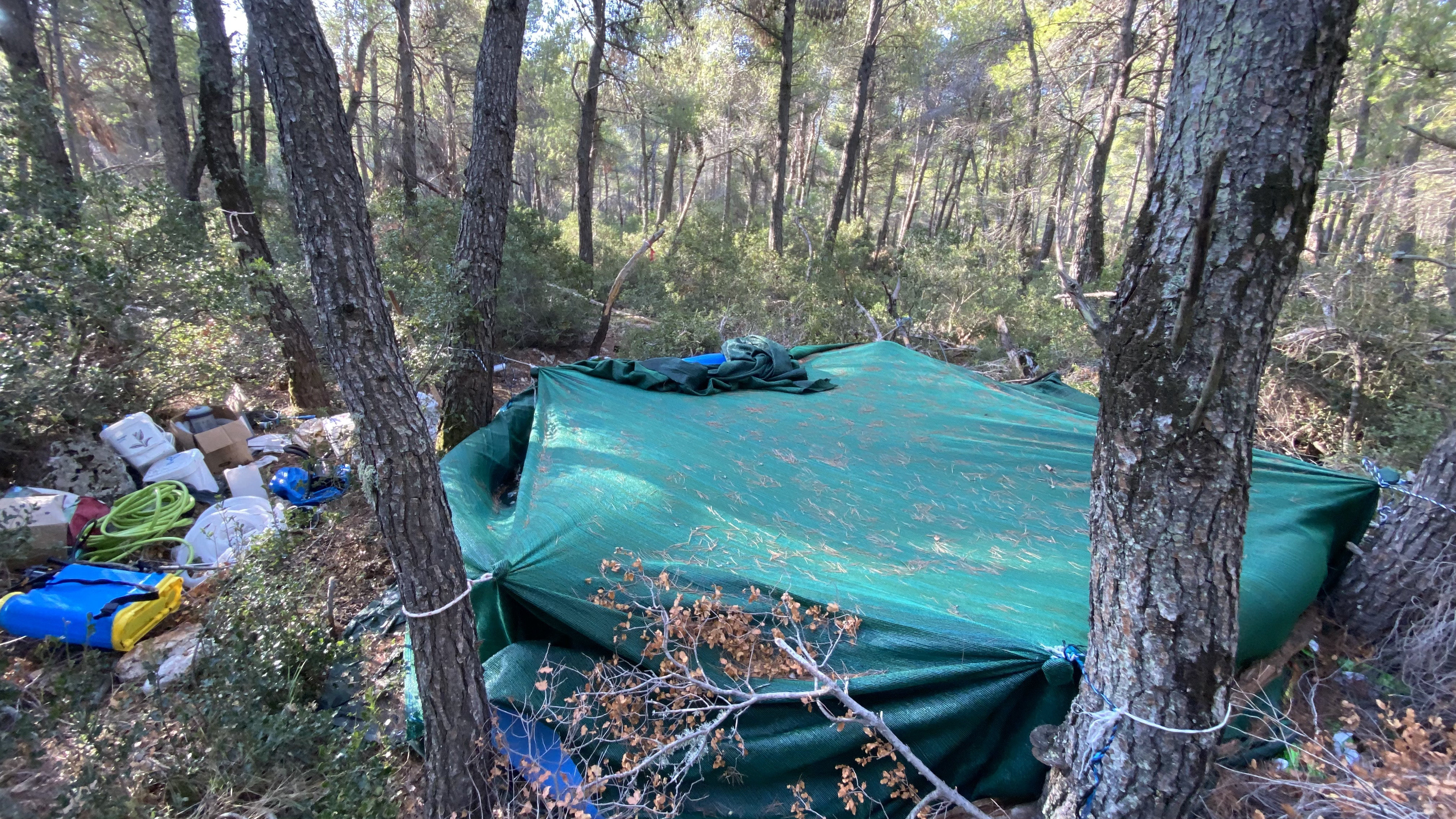 Θεσσαλονίκη: Εξάρθρωση εγκληματικής οργάνωσης που διακινούσε κάνναβη (εικόνες, βίντεο)-2