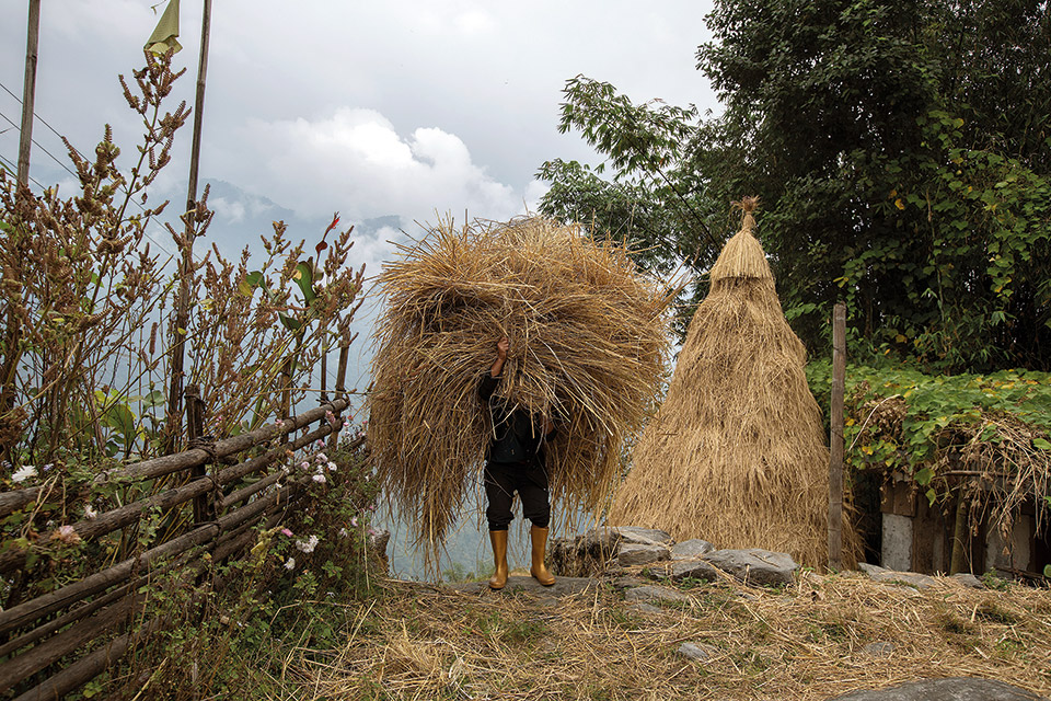 Αποστολή στην πρώτη πλήρως βιολογική πολιτεία του κόσμου-10