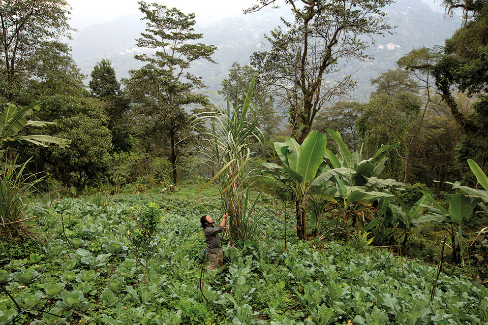 Αποστολή στην πρώτη πλήρως βιολογική πολιτεία του κόσμου-1