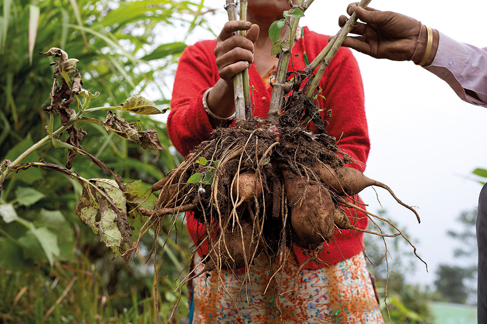 Αποστολή στην πρώτη πλήρως βιολογική πολιτεία του κόσμου-11