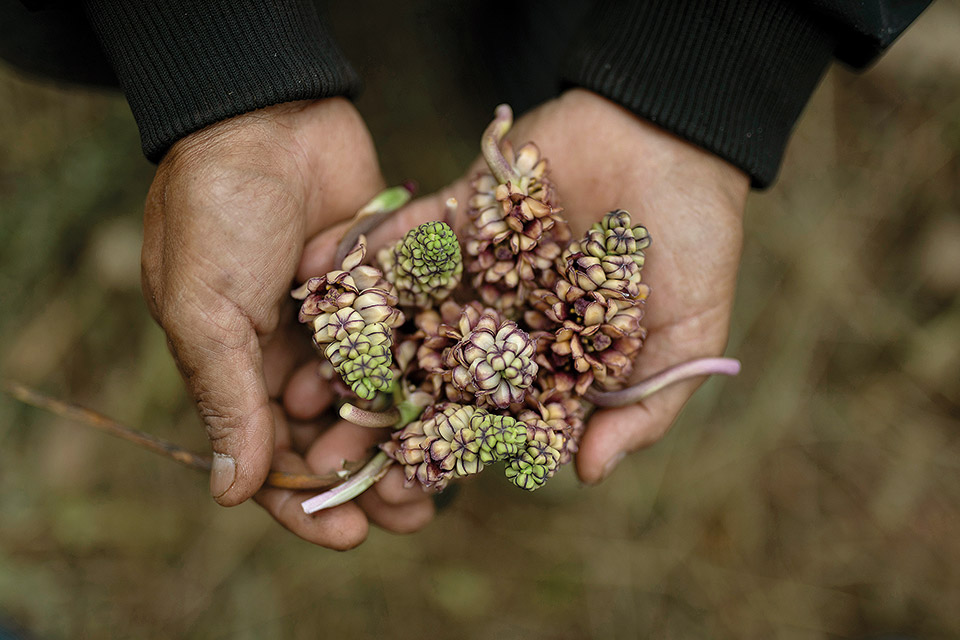 Αποστολή στην πρώτη πλήρως βιολογική πολιτεία του κόσμου-4