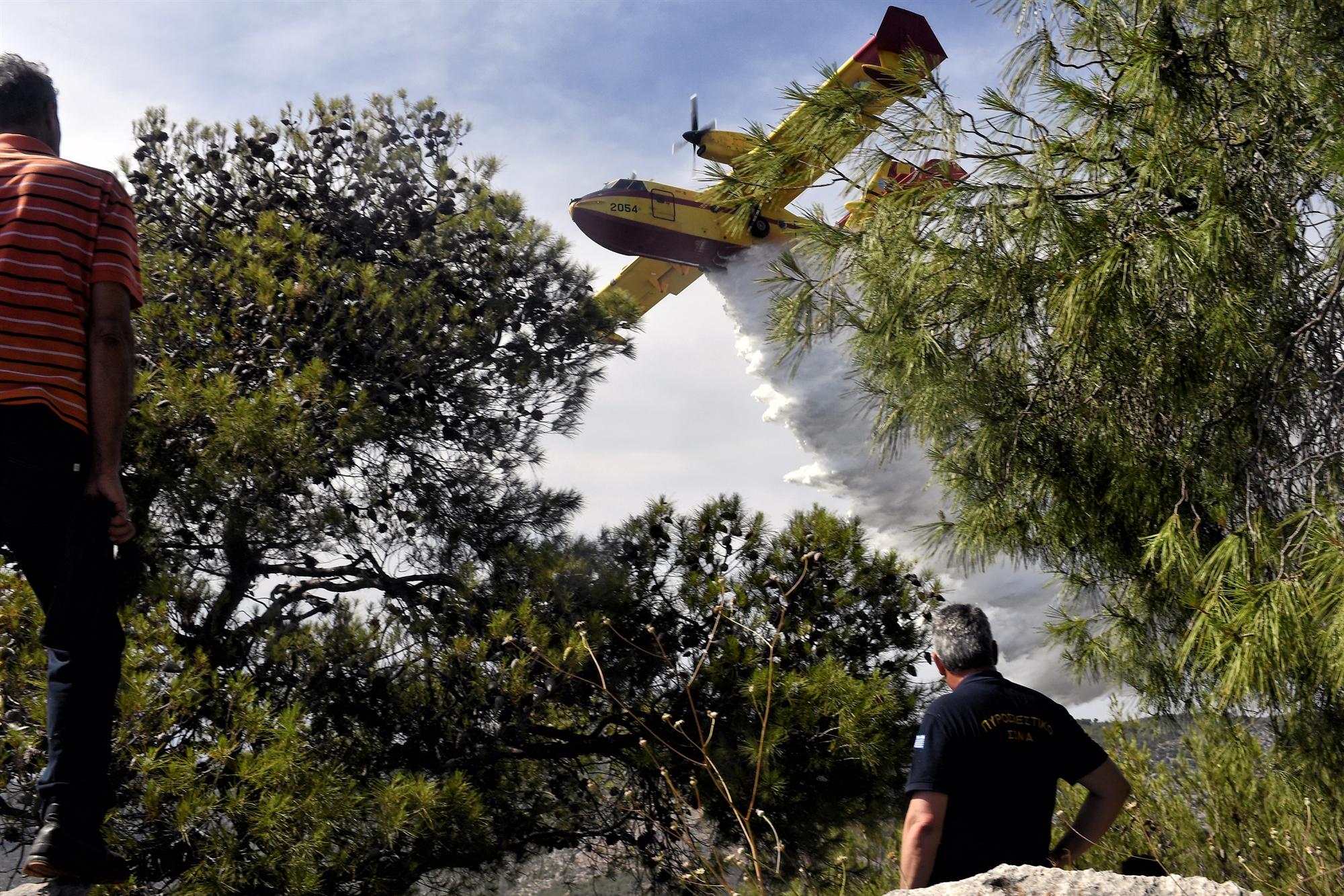 πυρόσβεση-στην-ε-ε-υιοθέτηση-του-ελλην-562032250