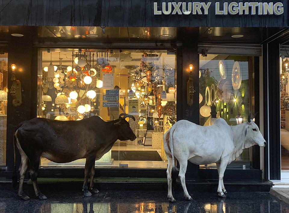 βροχές-562059082