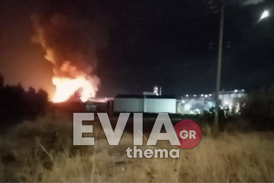 ψαχνά-ευβοίας-πυρκαγιά-σε-εργοστάσιο-562027480