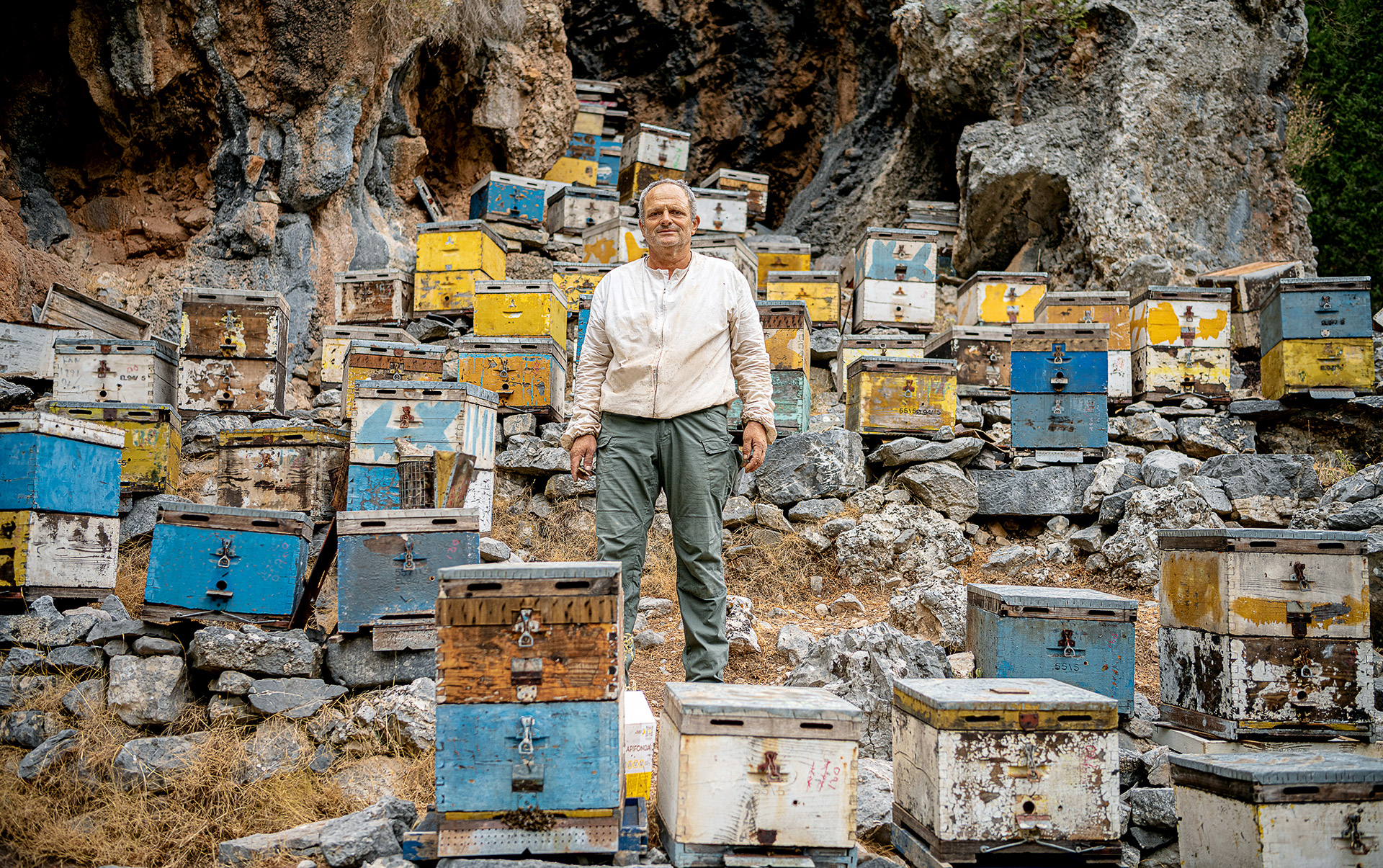 κρήτη-αναζητώντας-το-ξεχωριστό-μέλι-τ-562062664