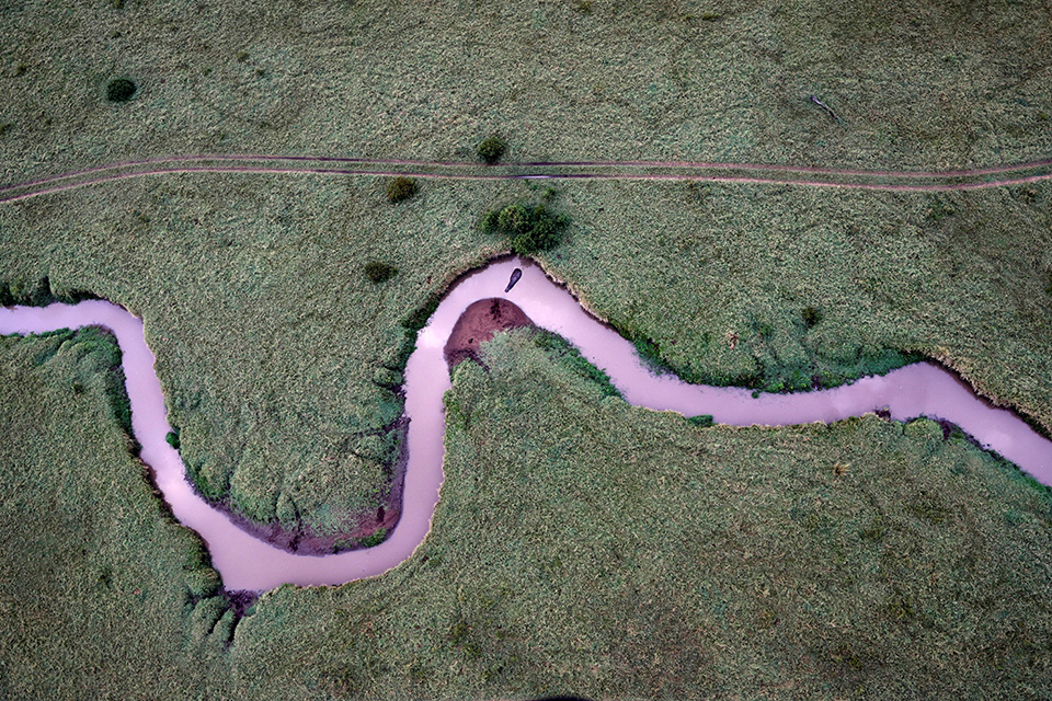 Ροδαλό ρυάκι