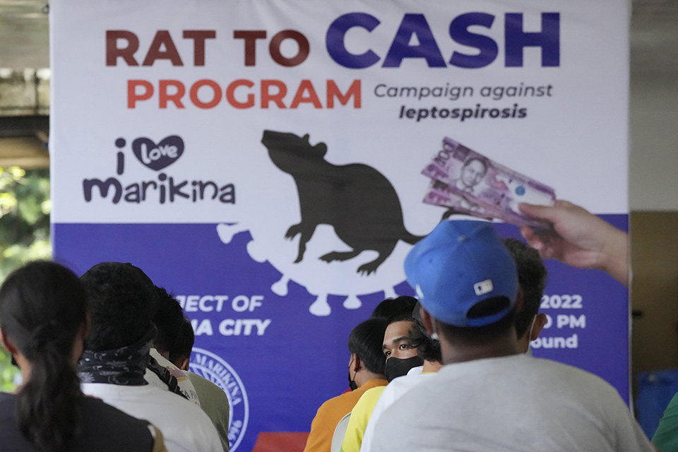 Νεκρός ή ζωντανός