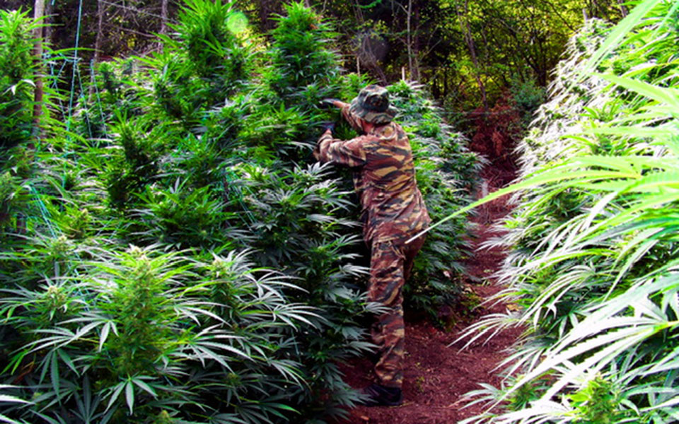 αστυνομική-επιχείρηση-για-τη-μεγάλη-φ-562049545