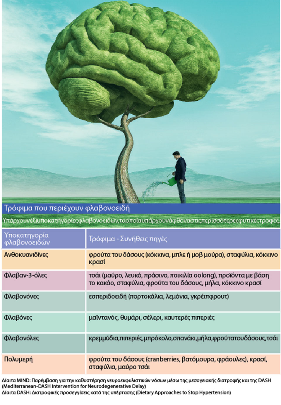 Απόψεις για τα φλαβονοειδή-1