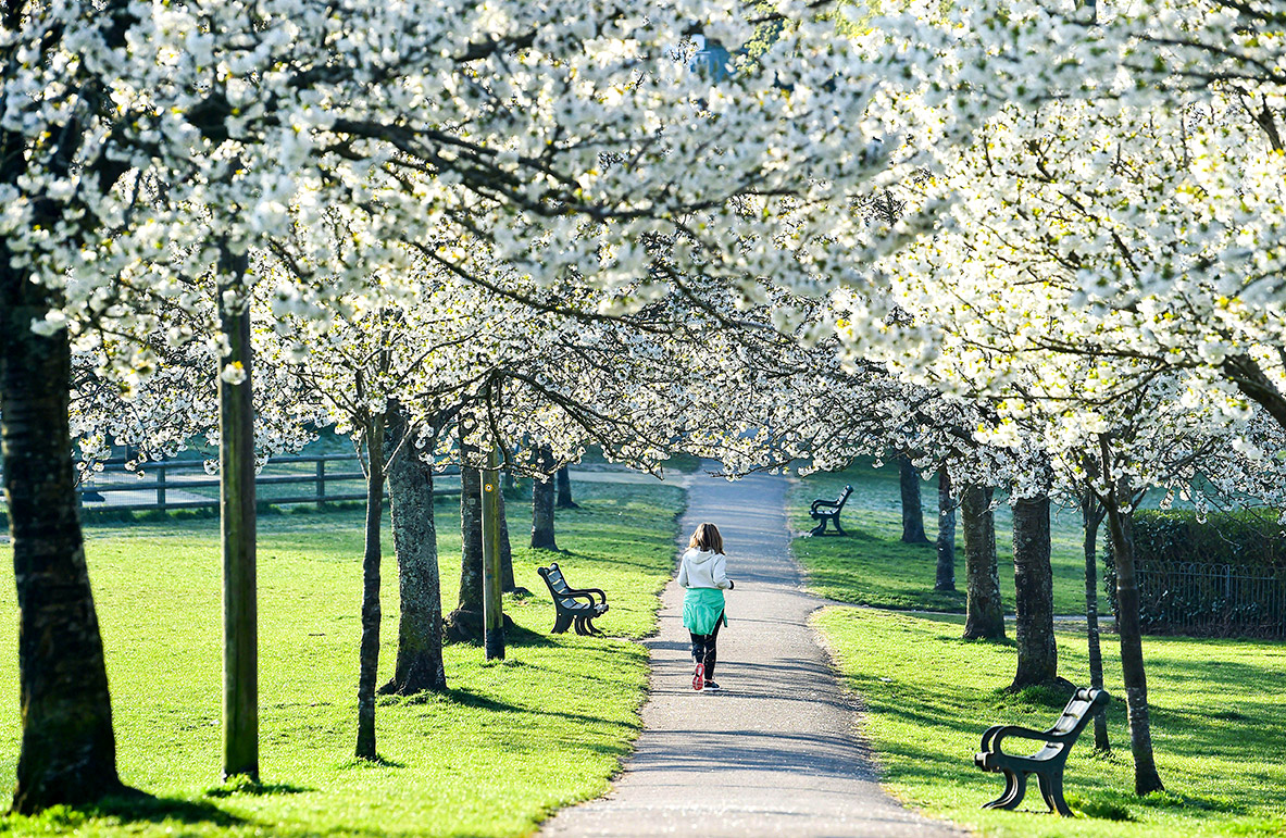 Μπράιτον: Βόλτες στην παραλία και στις πιο κουλ γειτονιές-12