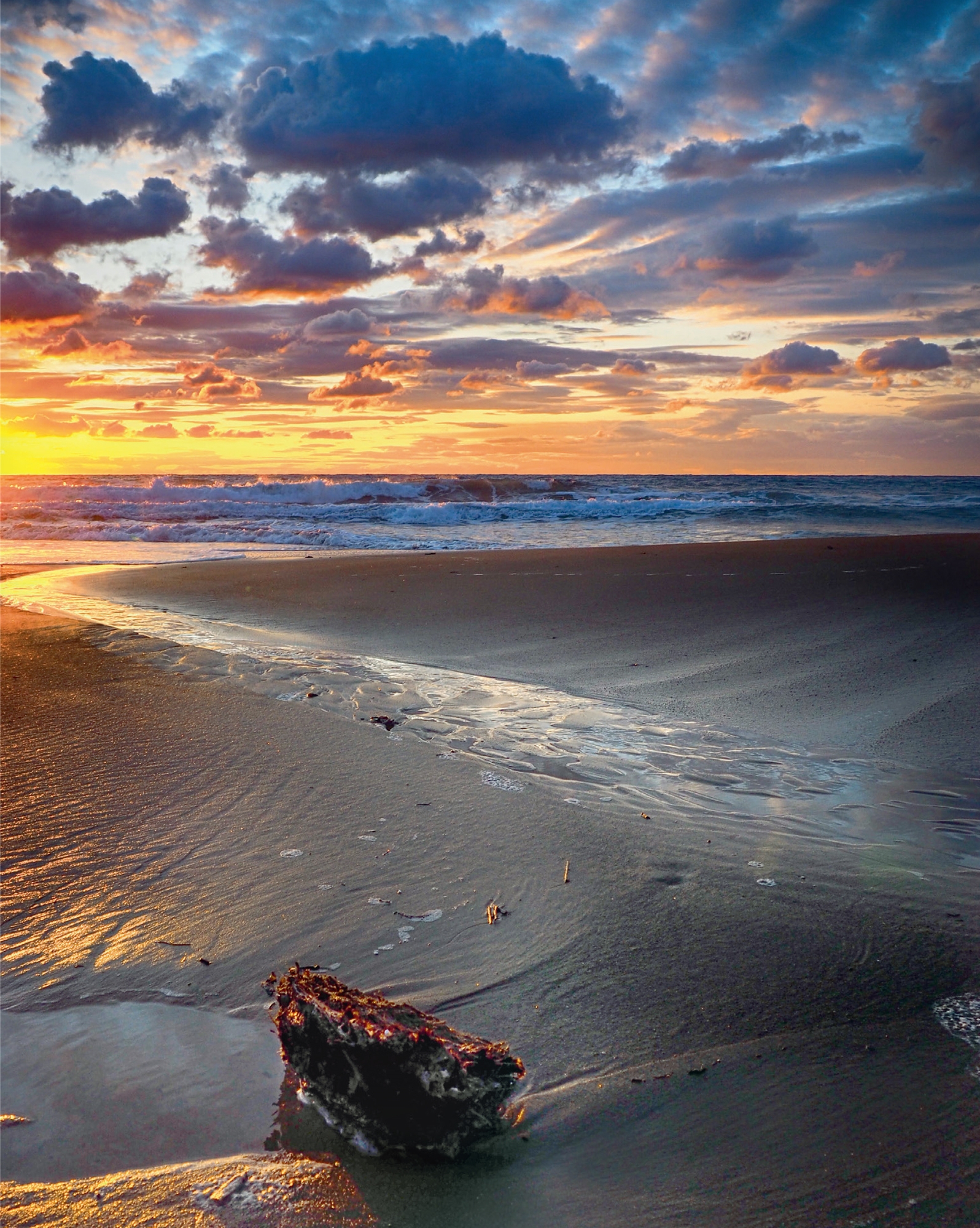 Ο θαυμαστός κόσμος της Λήμνου-4