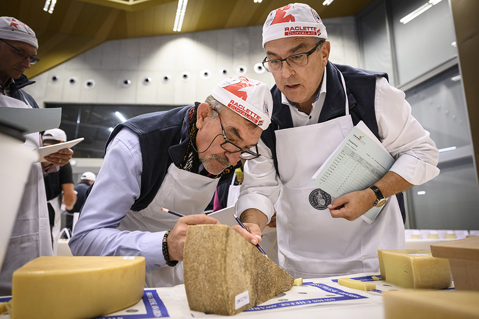 Ελβετικό τυρί