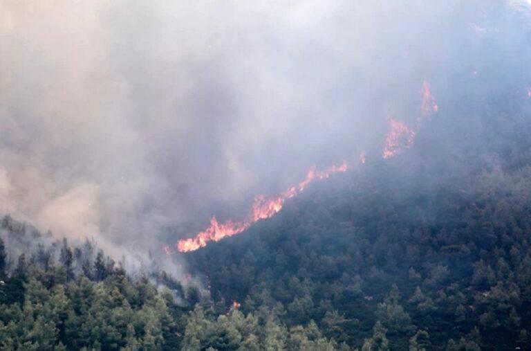κεφαλονιά-χωρίς-ενεργό-μέτωπο-η-φωτιά-562056136