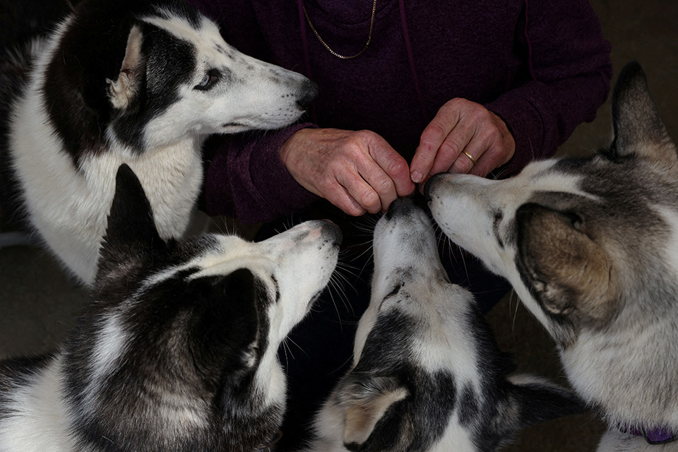 Ανεπιθύμητα