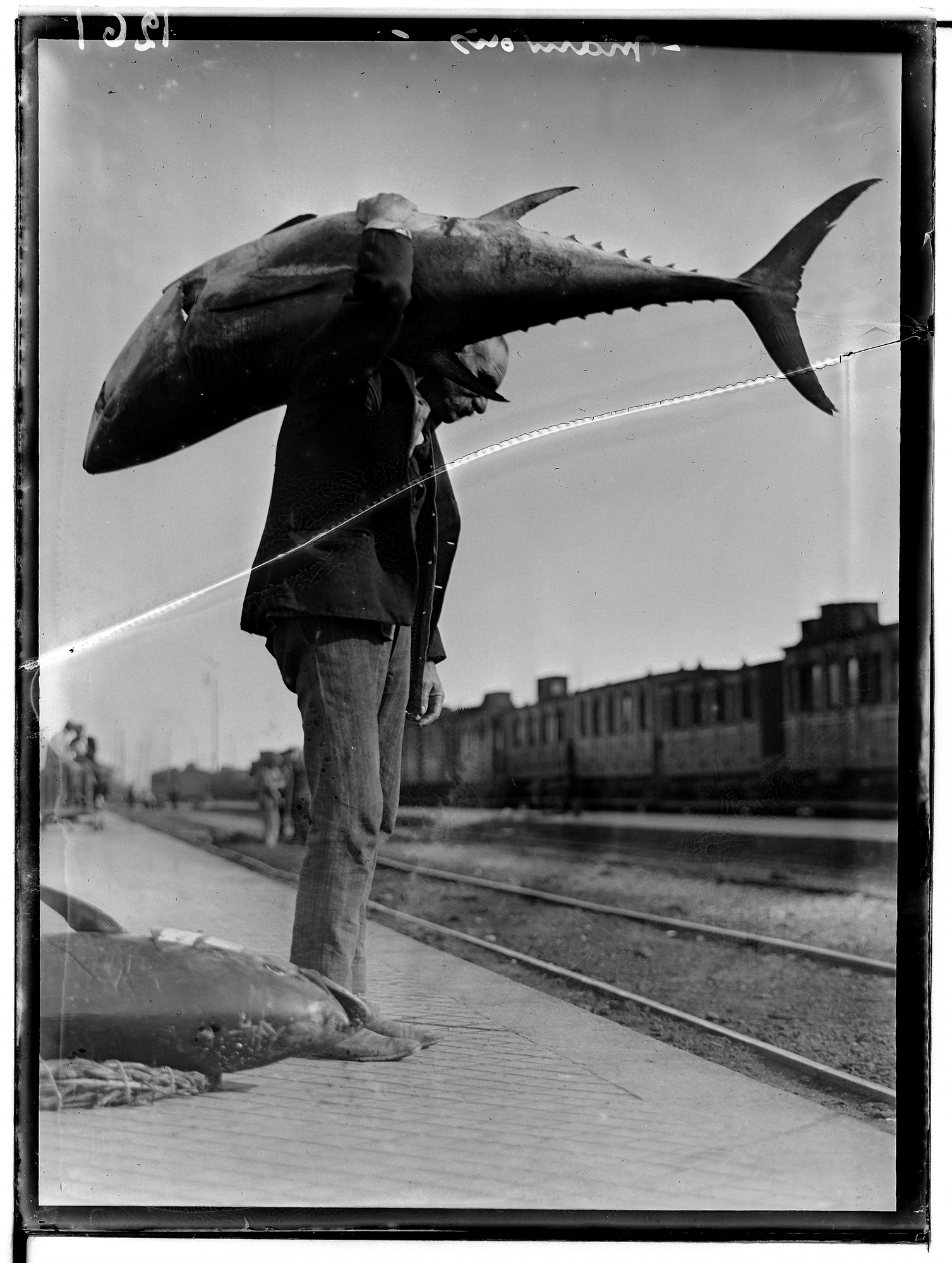 στα-όνειρά-του-πάντα-ο-οδυσσέας-562049005