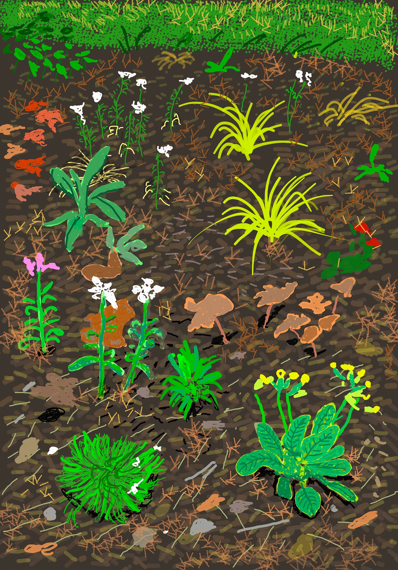 η-άνοιξη-του-ντέιβιντ-χόκνεϊ-έχει-μετα-562048972