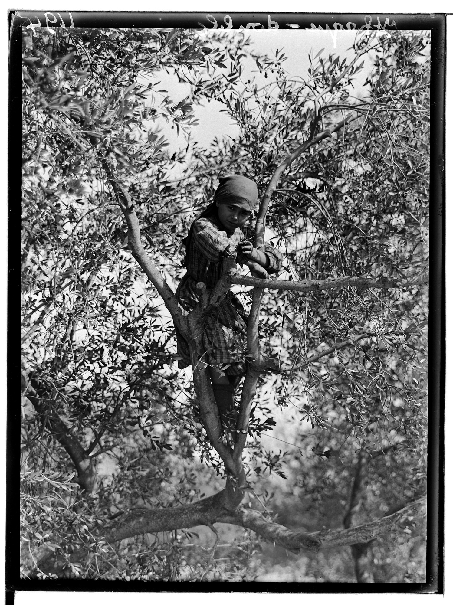 Στα όνειρά του, πάντα ο Οδυσσέας-4