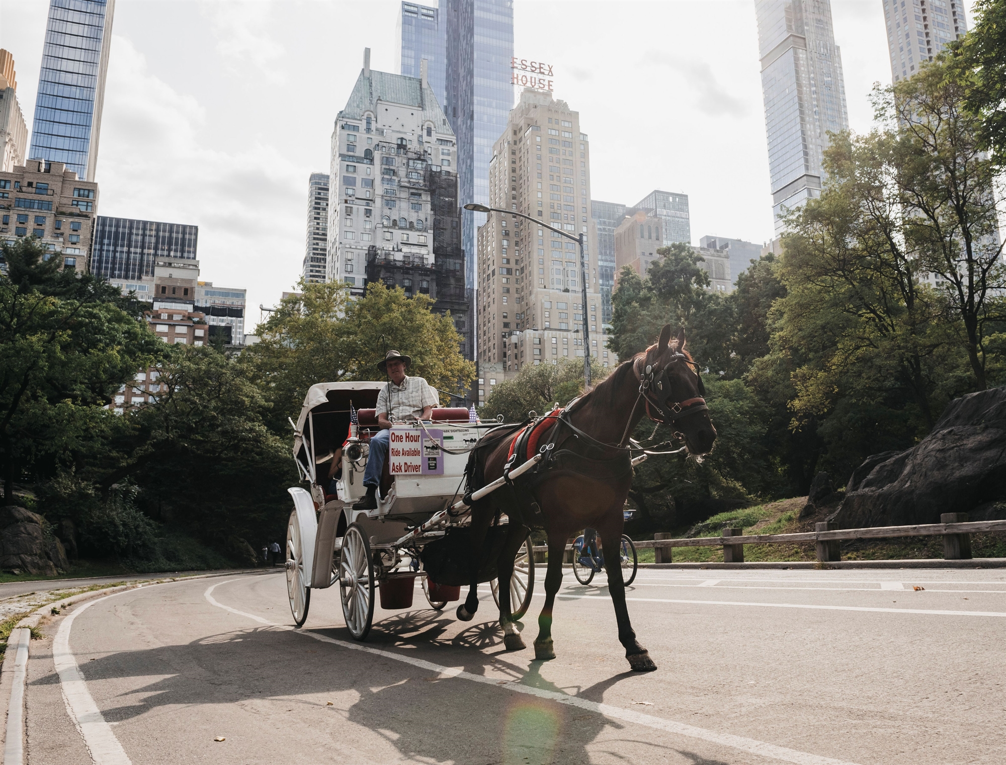 τέλος-για-τα-άλογα-στη-νέα-υόρκη-562057417