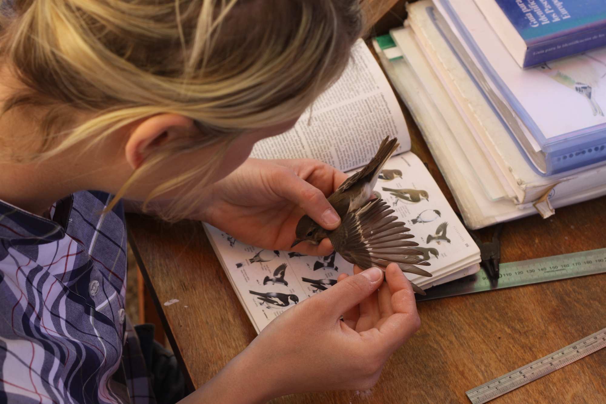 Οι επίμονοι φρουροί της άγριας φύσης-1