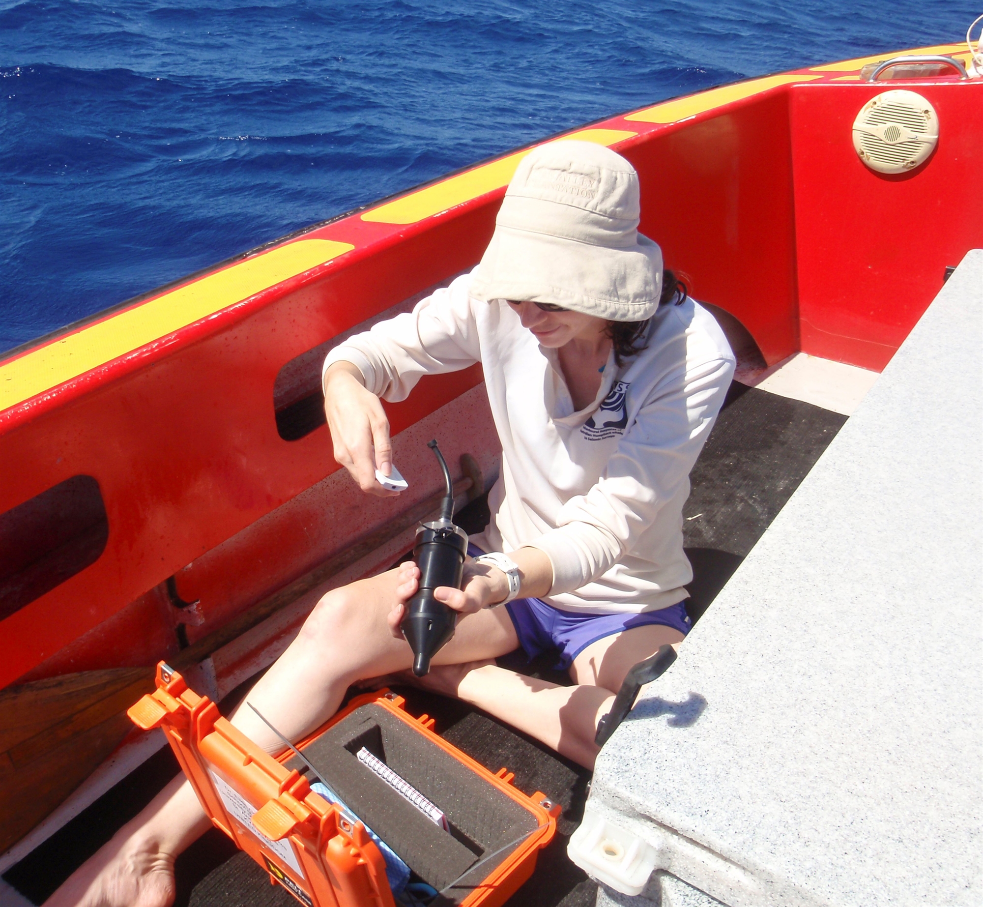 Το τραγούδι των φαλαινών ταξιδεύει στους ωκεανούς-2