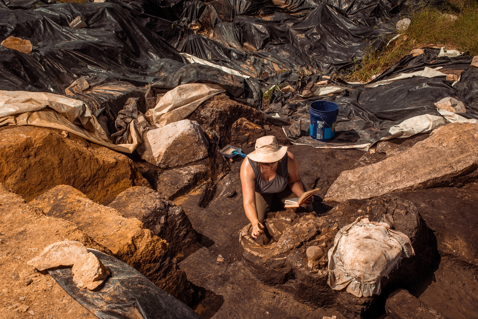 από-οικοδόμοι-παλαιοντολόγοι-562053799