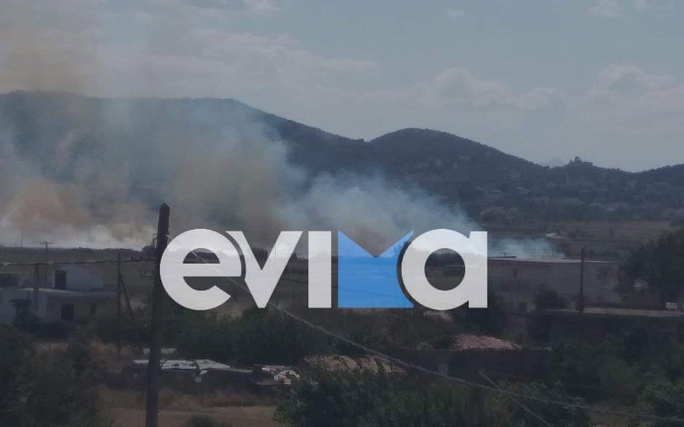εύβοια-φωτιά-στο-χωριό-κριεζά-562029982