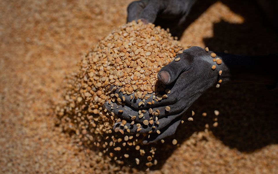 ανοιχτή-επιστολή-από-238-μκο-ένας-άνθρωπ-562052716