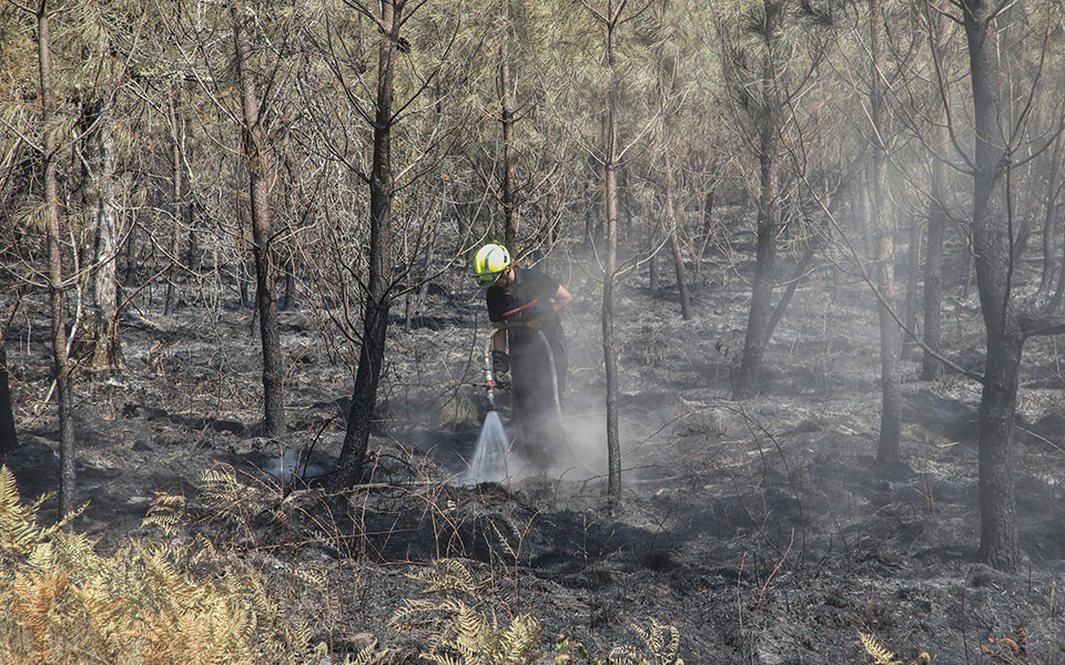 γαλλία-νέα-φωτιά-κατέκαψε-13-000-στρέμματα-562041139