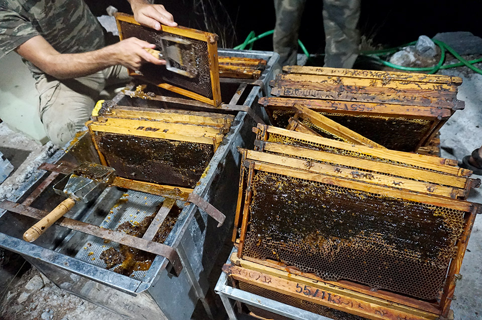 Κρήτη: Αναζητώντας το ξεχωριστό μέλι της Σαμαριάς-4