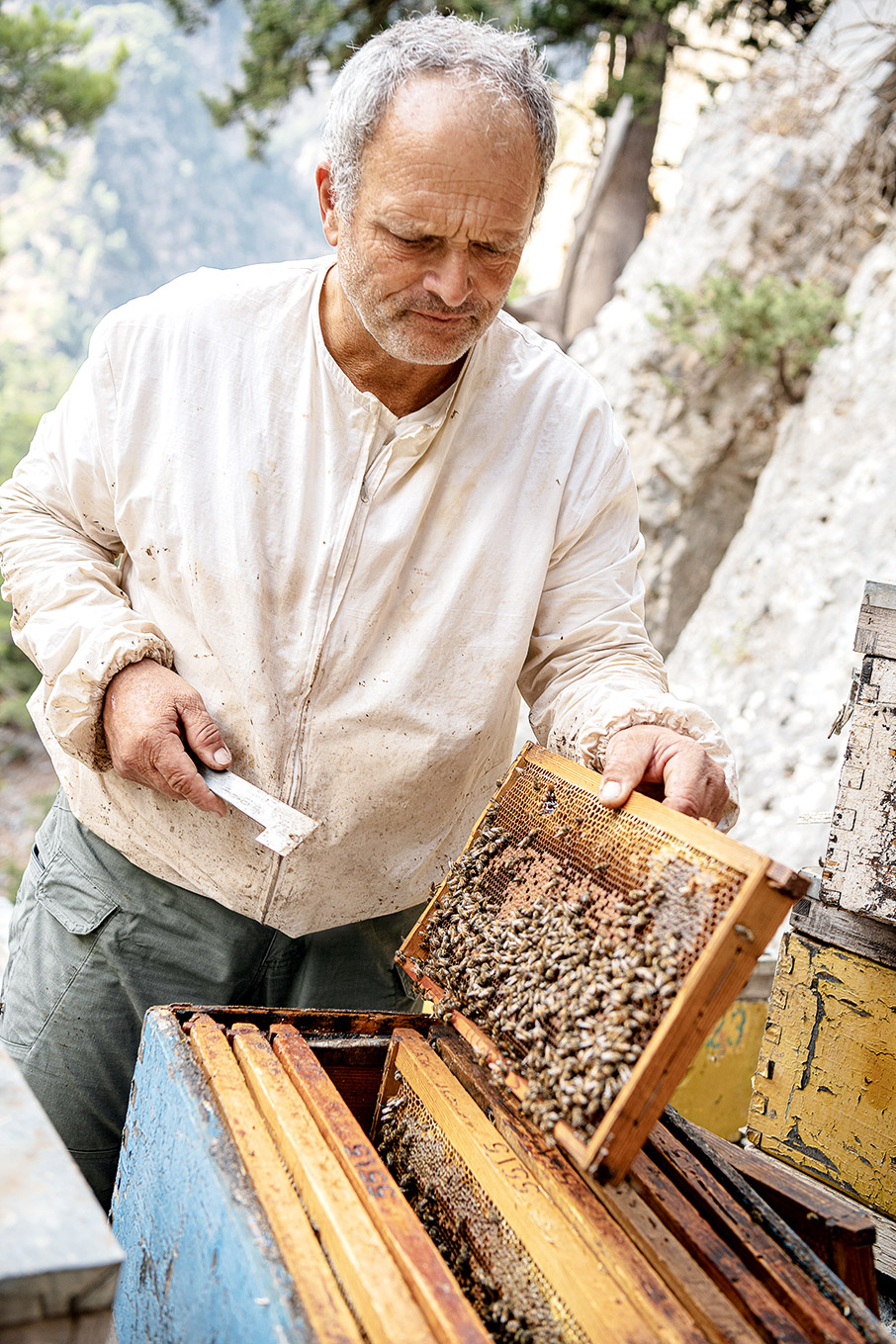 Κρήτη: Αναζητώντας το ξεχωριστό μέλι της Σαμαριάς-3